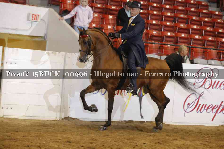 Proof 15BUCK_00996