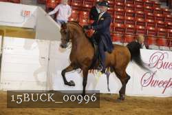 15BUCK_00996 proof