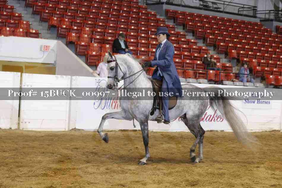 Proof 15BUCK_00997