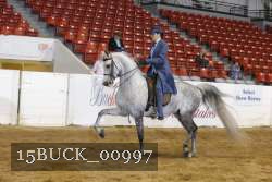 15BUCK_00997 proof