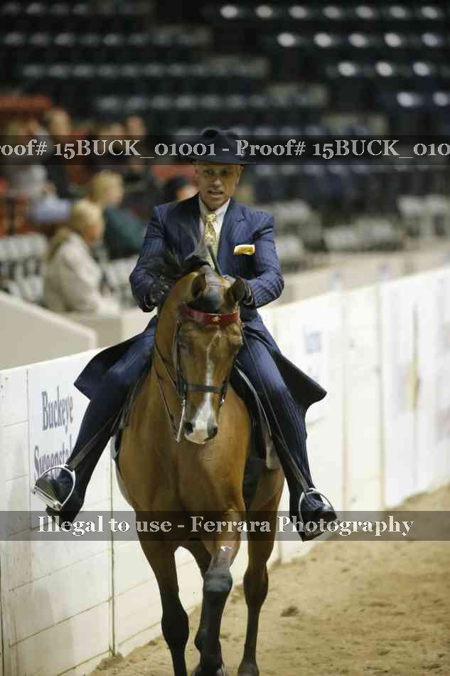 Proof 15BUCK_01001