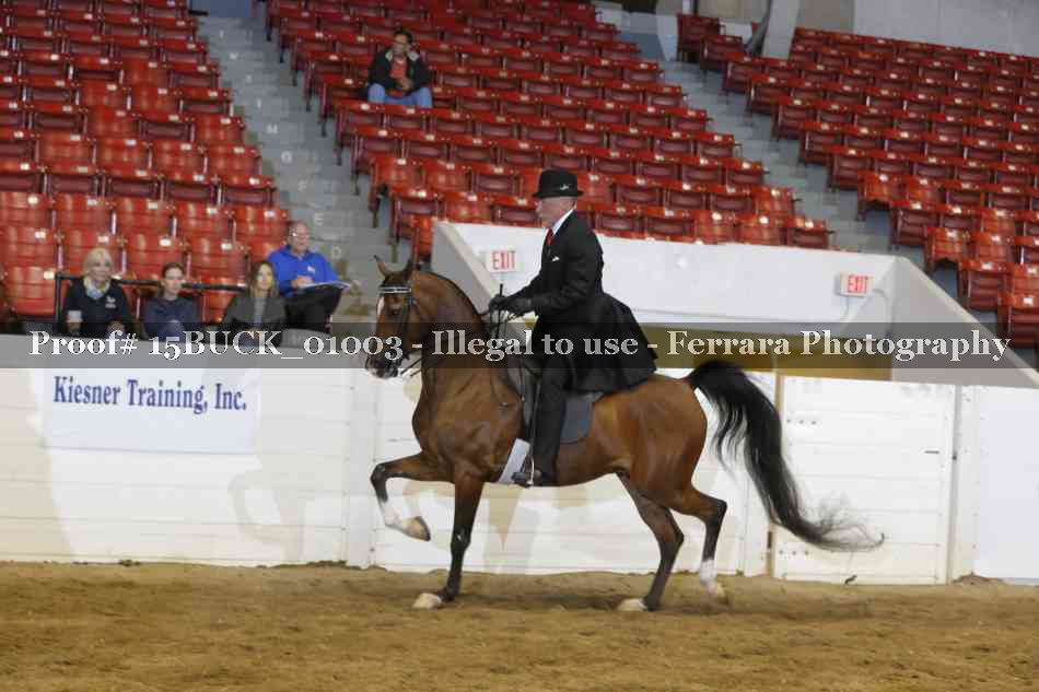 Proof 15BUCK_01003