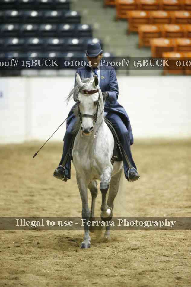 Proof 15BUCK_01004