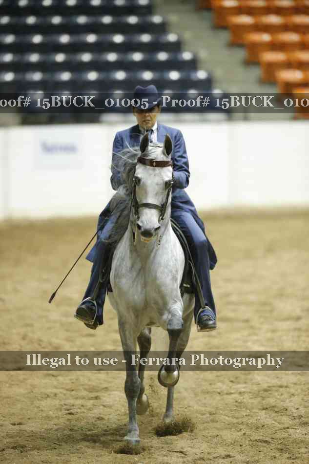 Proof 15BUCK_01005