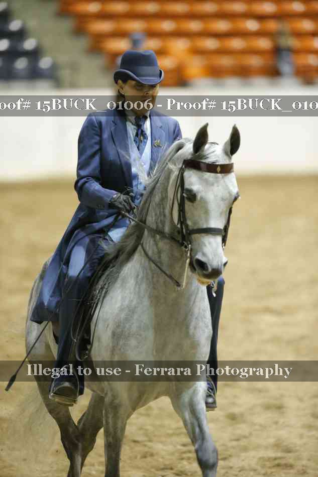Proof 15BUCK_01006