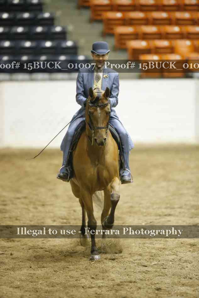 Proof 15BUCK_01007