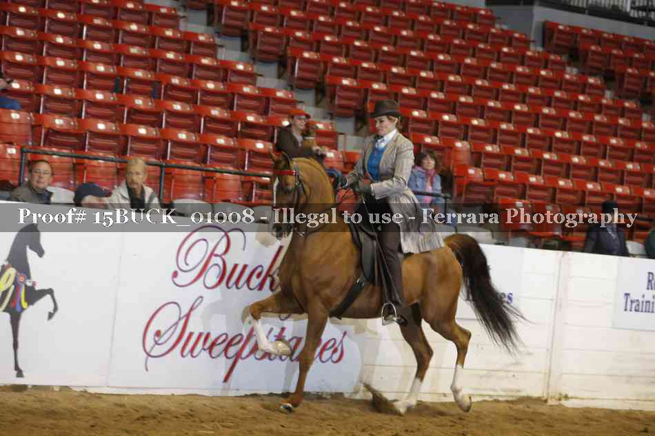 Proof 15BUCK_01008