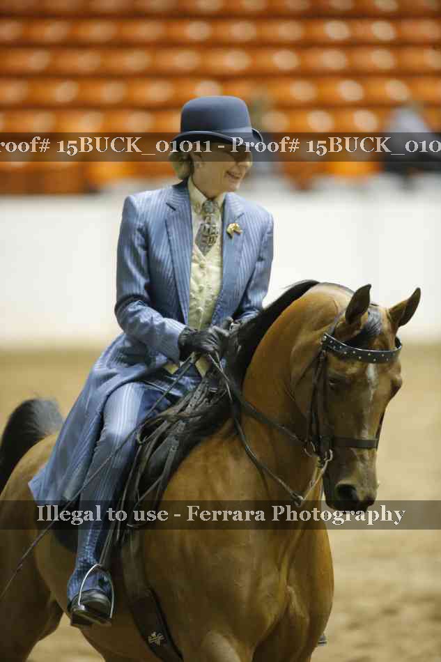 Proof 15BUCK_01011