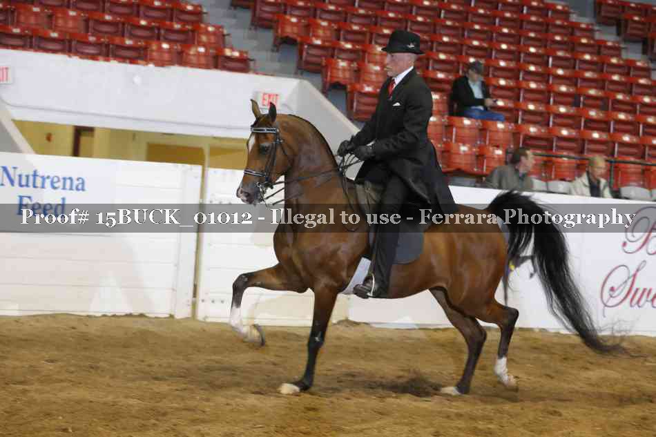 Proof 15BUCK_01012