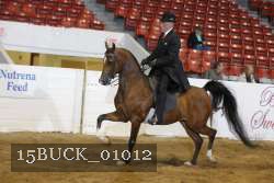 15BUCK_01012 proof