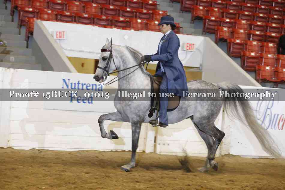 Proof 15BUCK_01013