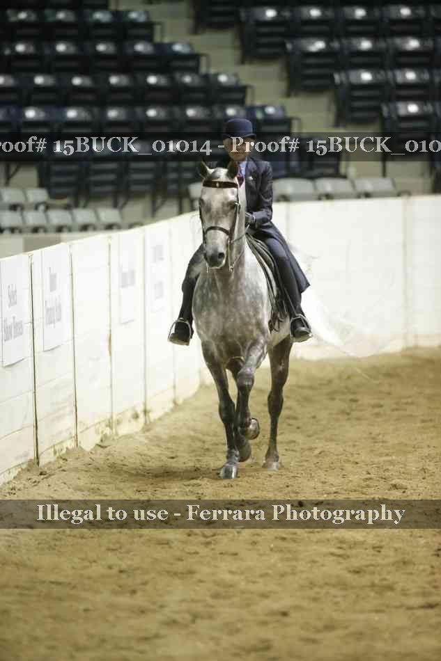 Proof 15BUCK_01014