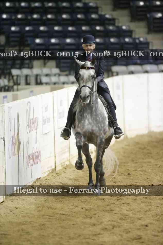 Proof 15BUCK_01015