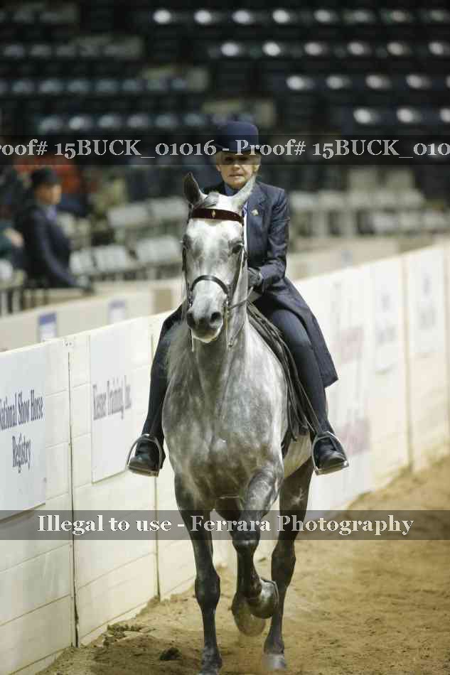 Proof 15BUCK_01016