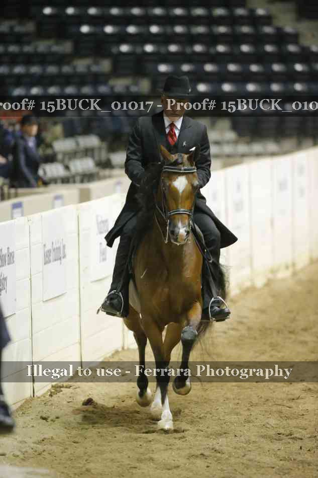 Proof 15BUCK_01017