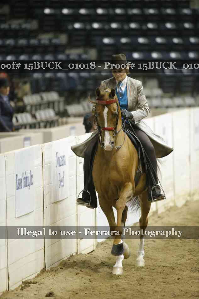 Proof 15BUCK_01018