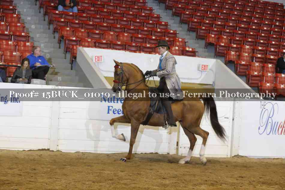 Proof 15BUCK_01019