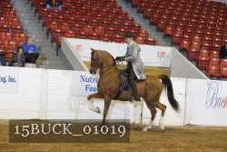 15BUCK_01019 proof