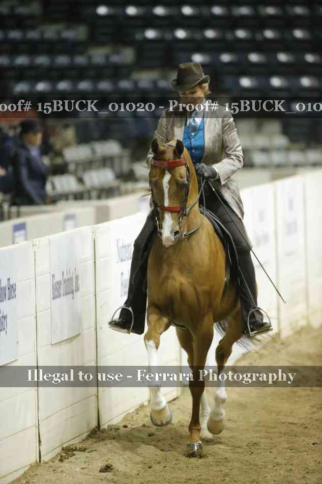 Proof 15BUCK_01020