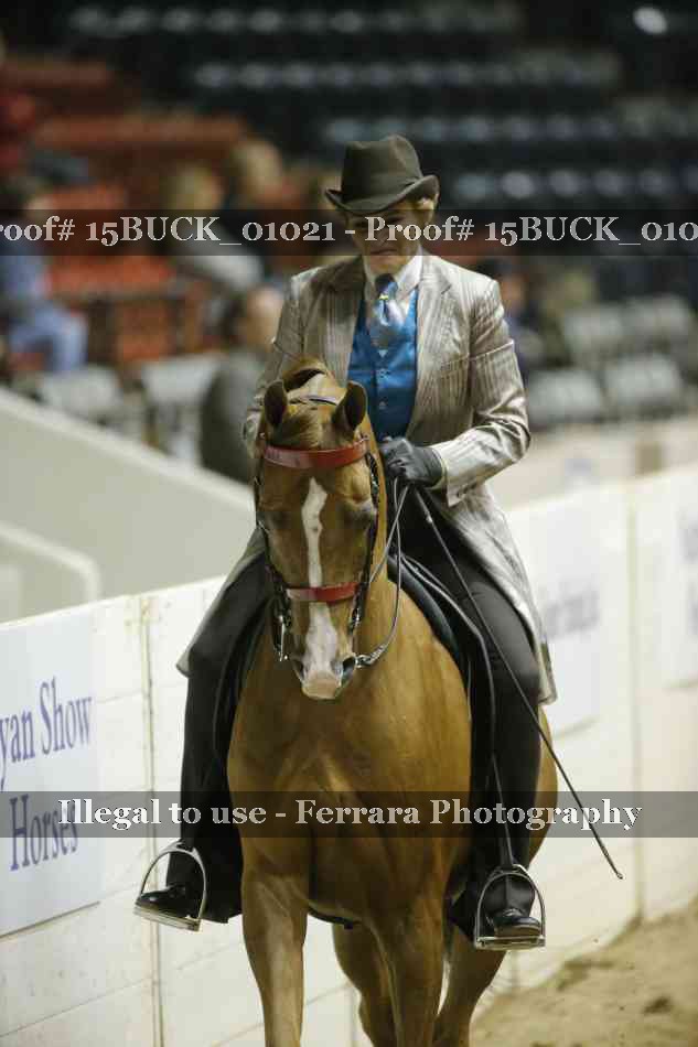 Proof 15BUCK_01021