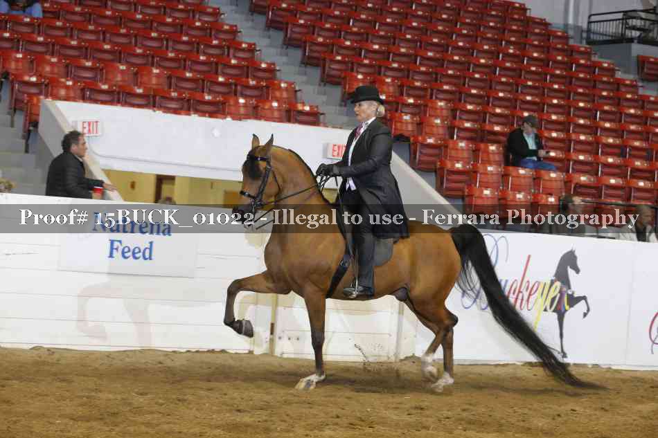Proof 15BUCK_01022