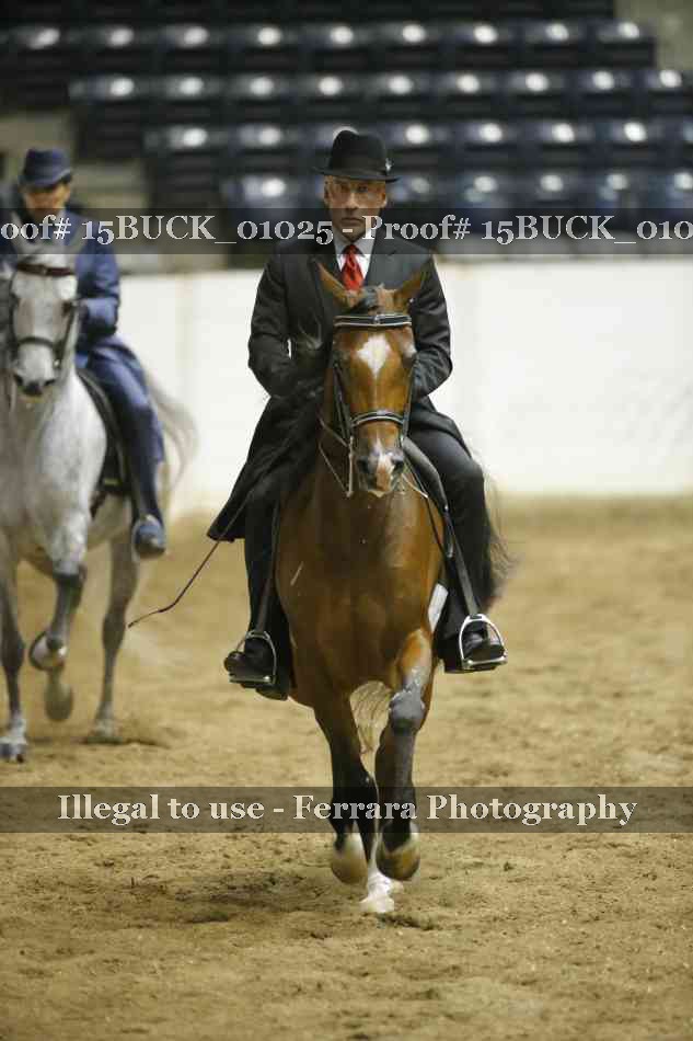 Proof 15BUCK_01025