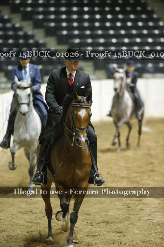Proof 15BUCK_01026