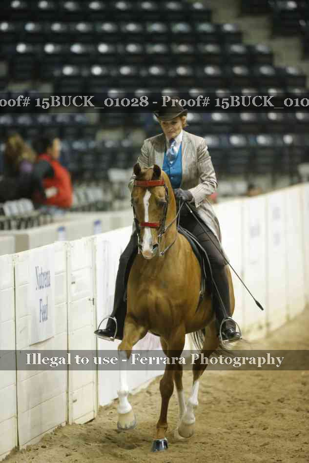 Proof 15BUCK_01028
