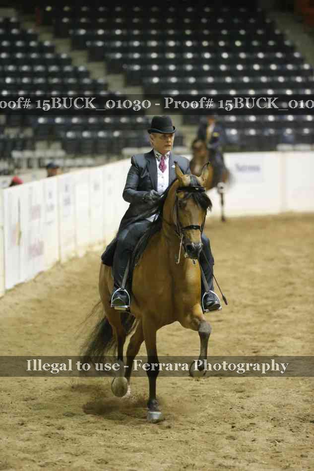 Proof 15BUCK_01030