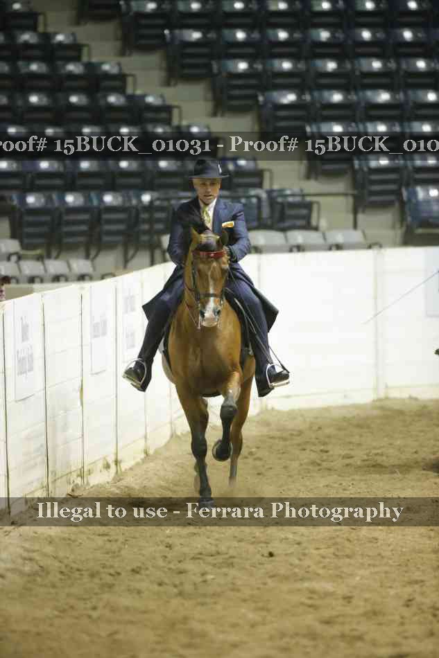 Proof 15BUCK_01031
