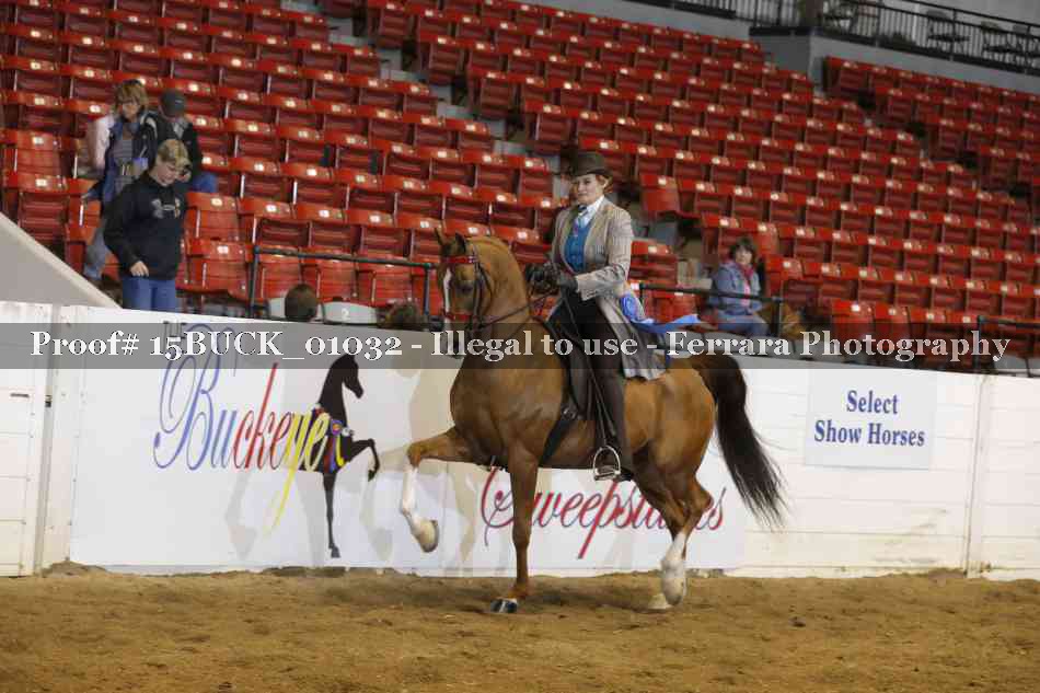 Proof 15BUCK_01032