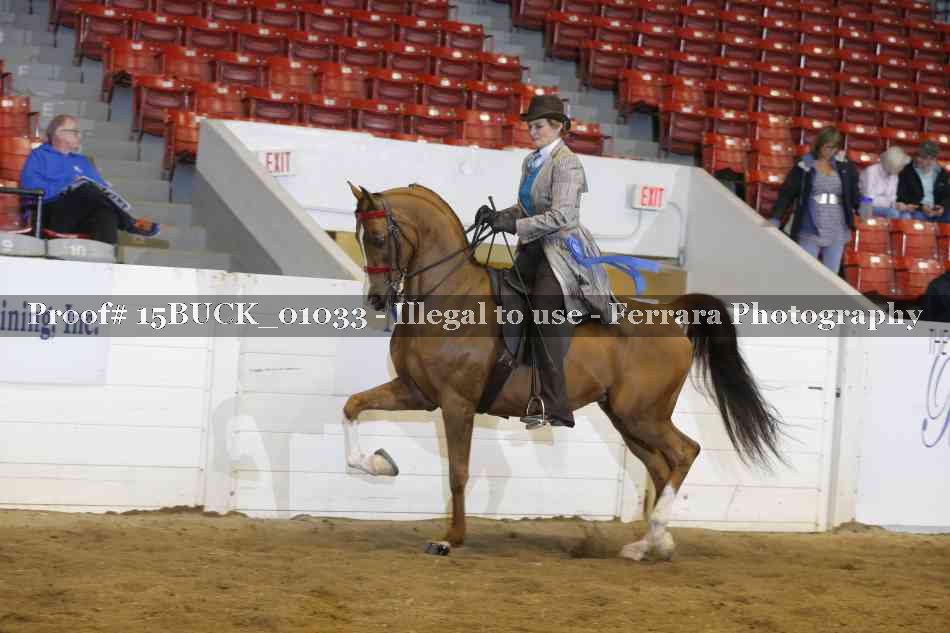 Proof 15BUCK_01033