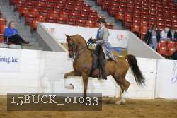 15BUCK_01033 proof