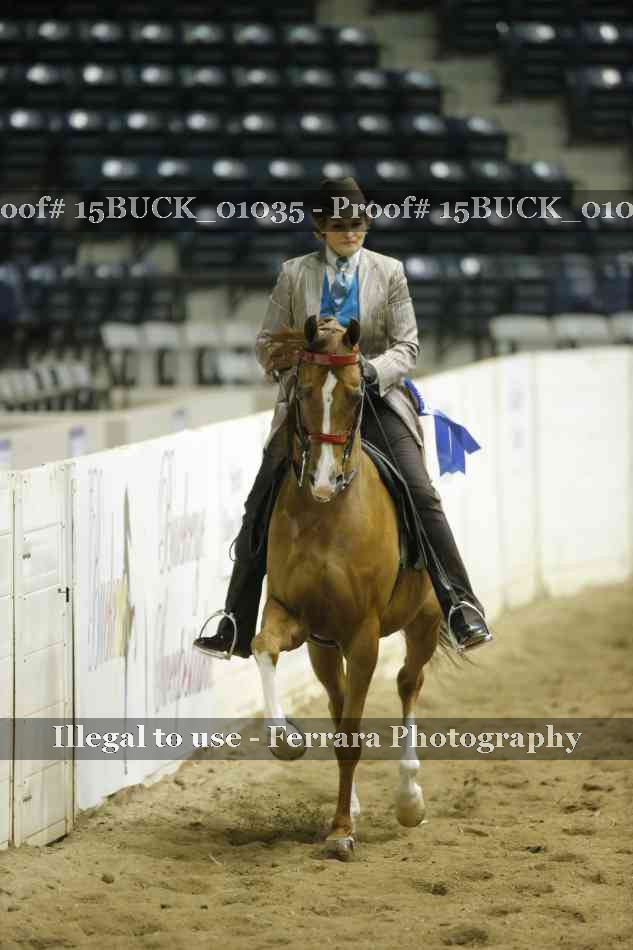 Proof 15BUCK_01035