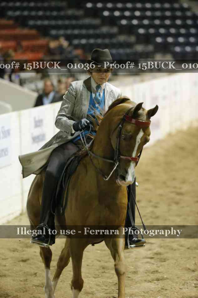 Proof 15BUCK_01036