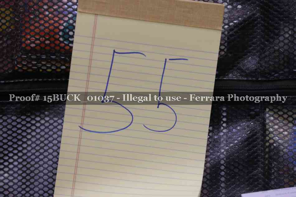 Proof 15BUCK_01037