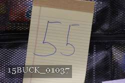 15BUCK_01037 proof
