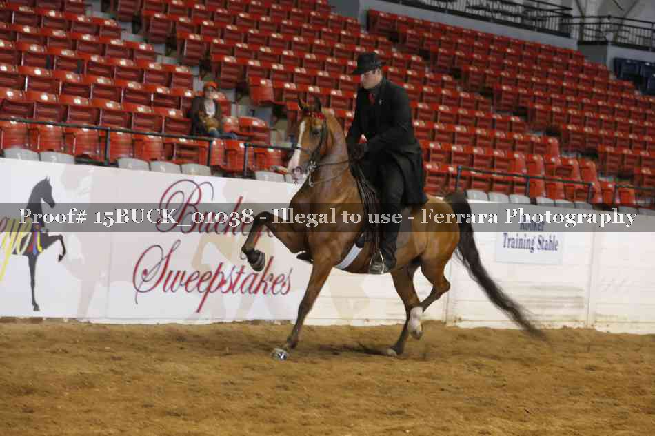 Proof 15BUCK_01038