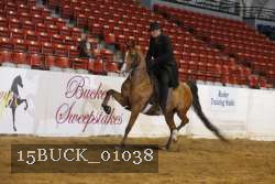 15BUCK_01038 proof