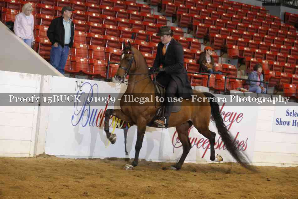 Proof 15BUCK_01039