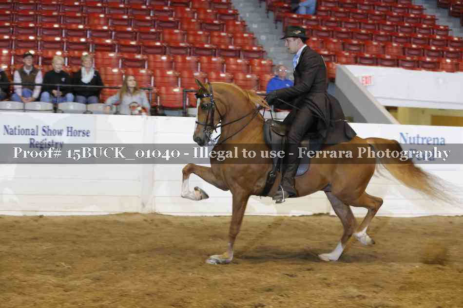 Proof 15BUCK_01040