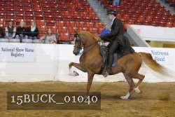 15BUCK_01040 proof