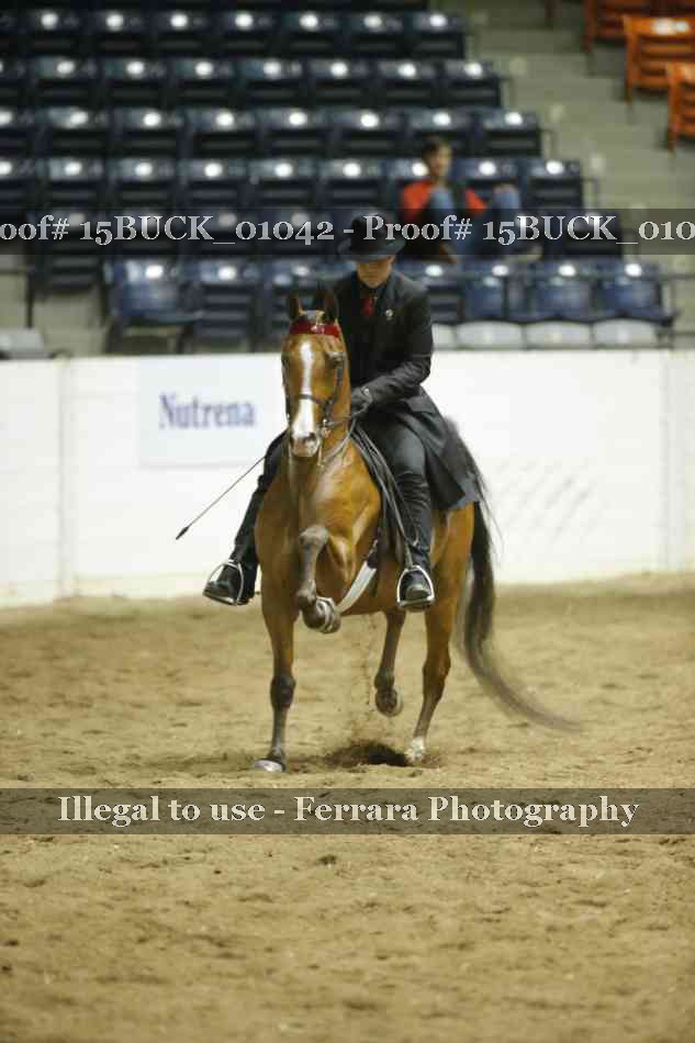 Proof 15BUCK_01042