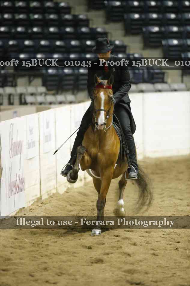 Proof 15BUCK_01043