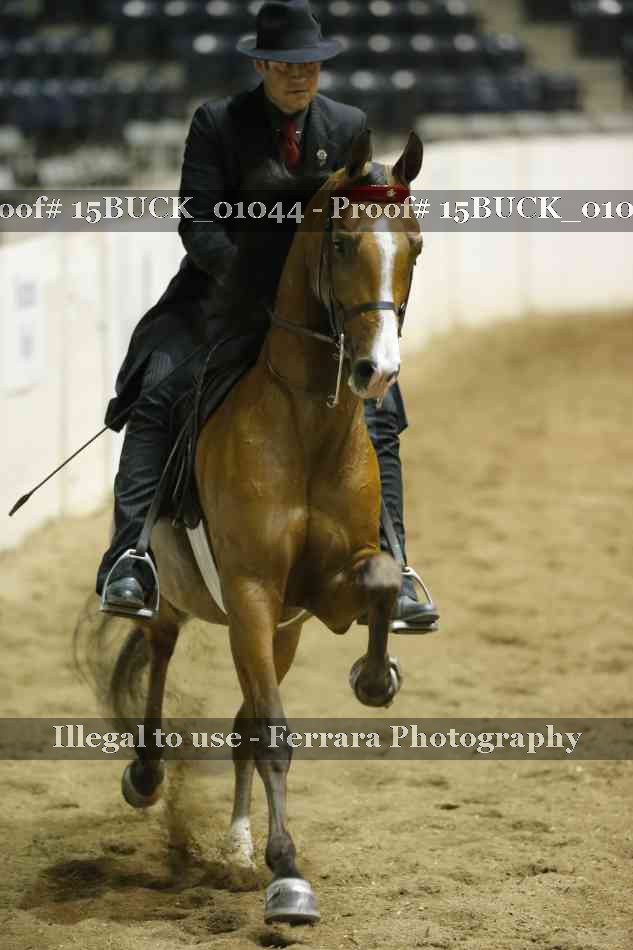 Proof 15BUCK_01044