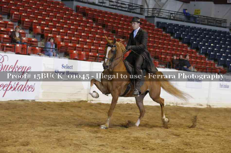 Proof 15BUCK_01045