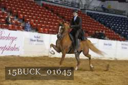 15BUCK_01045 proof