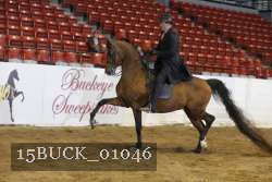 15BUCK_01046 proof