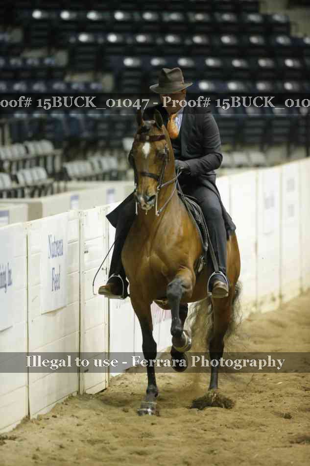 Proof 15BUCK_01047