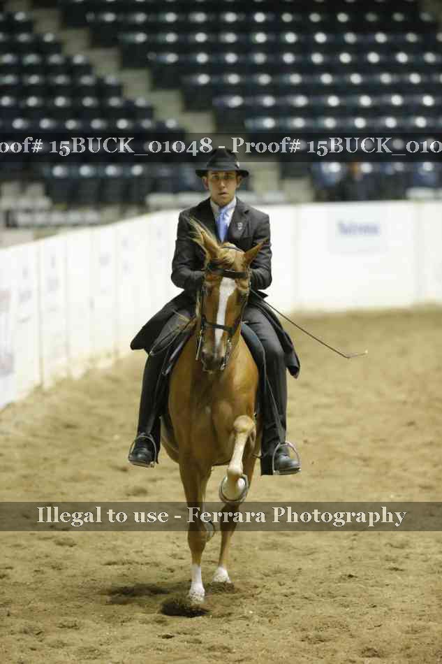 Proof 15BUCK_01048